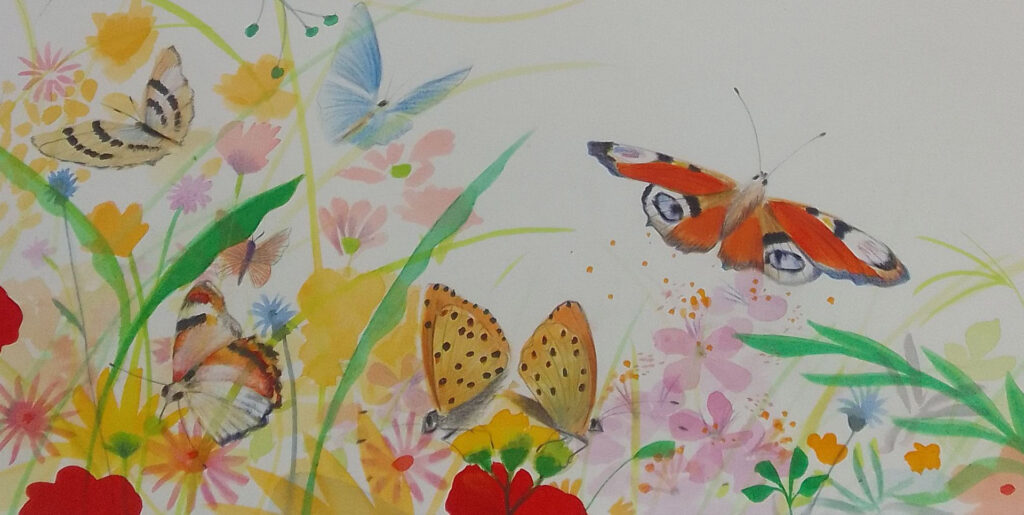 Illustration de Fabienne Cinquin