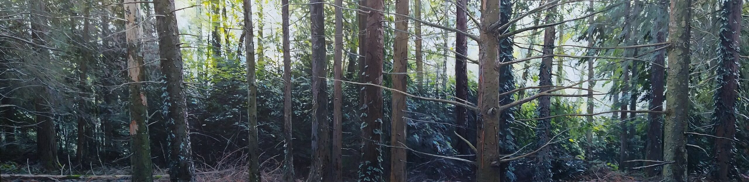 Peinture représentant une forêt, de Susan Dalladay