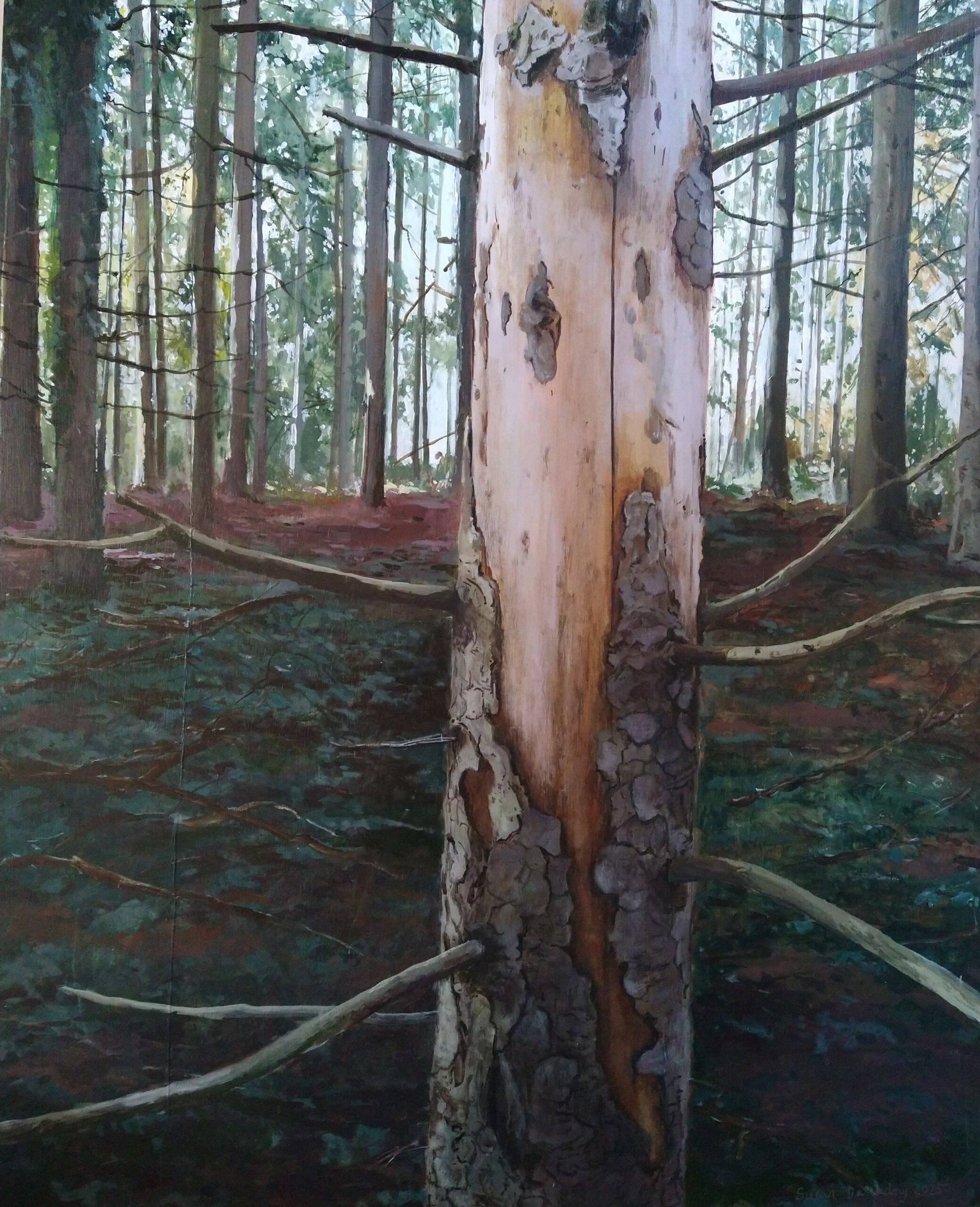 Peinture représentant un arbre, de Susan Dalladay