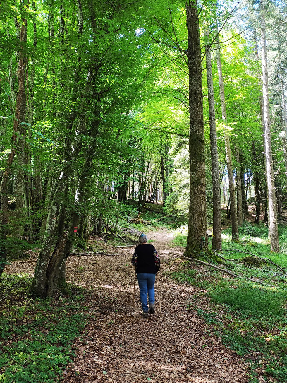 Martine Charlier marchant dans les bois