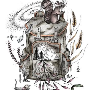 Illustration de Laetitia Vincent