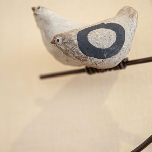 Oiseaux perchés exposés dans la salle du conseil