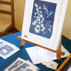 Cyanotype de Bernadette Gosset
